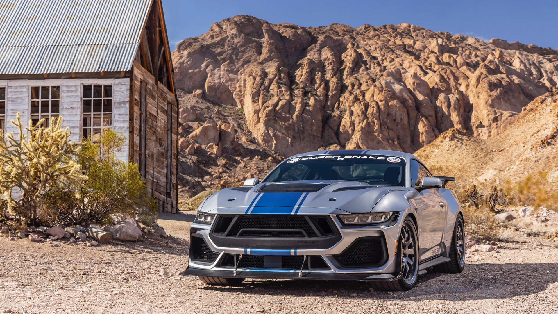 Новый Shelby Super Snake 2026: 830 лошадиных сил за 175 тысяч &mdash; изображение 1